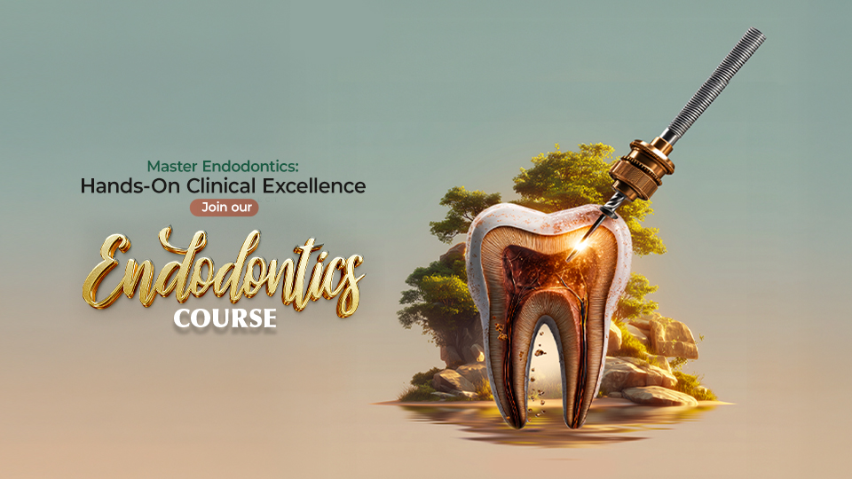 Hands-On Endodontics Course